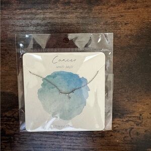 Francesca’s Zodiac Constellation Cancer Necklace